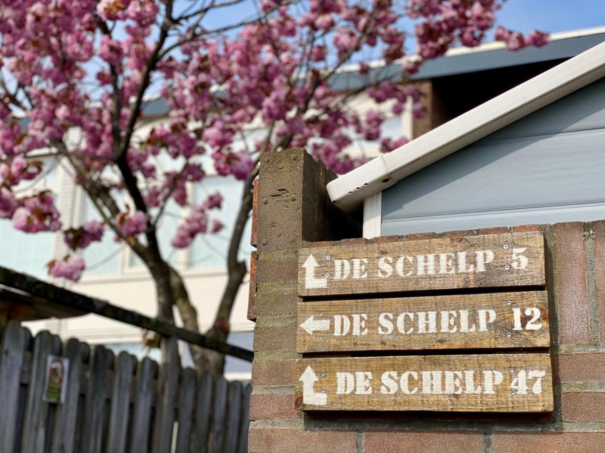 Reumann Holiday Apartments: De Schelp Zandvoort Extérieur photo